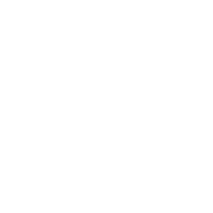 Traffic Signal Icon